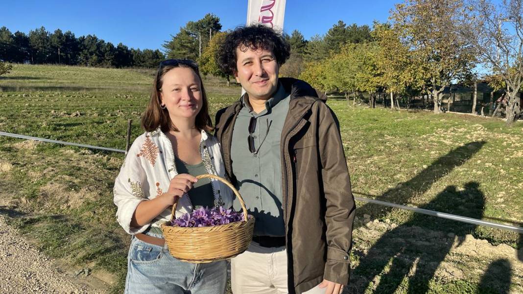 Dünyanın en pahalı baharatı o kentimizde yetişiyor! Kilogram fiyatı dudak uçuklattı 7