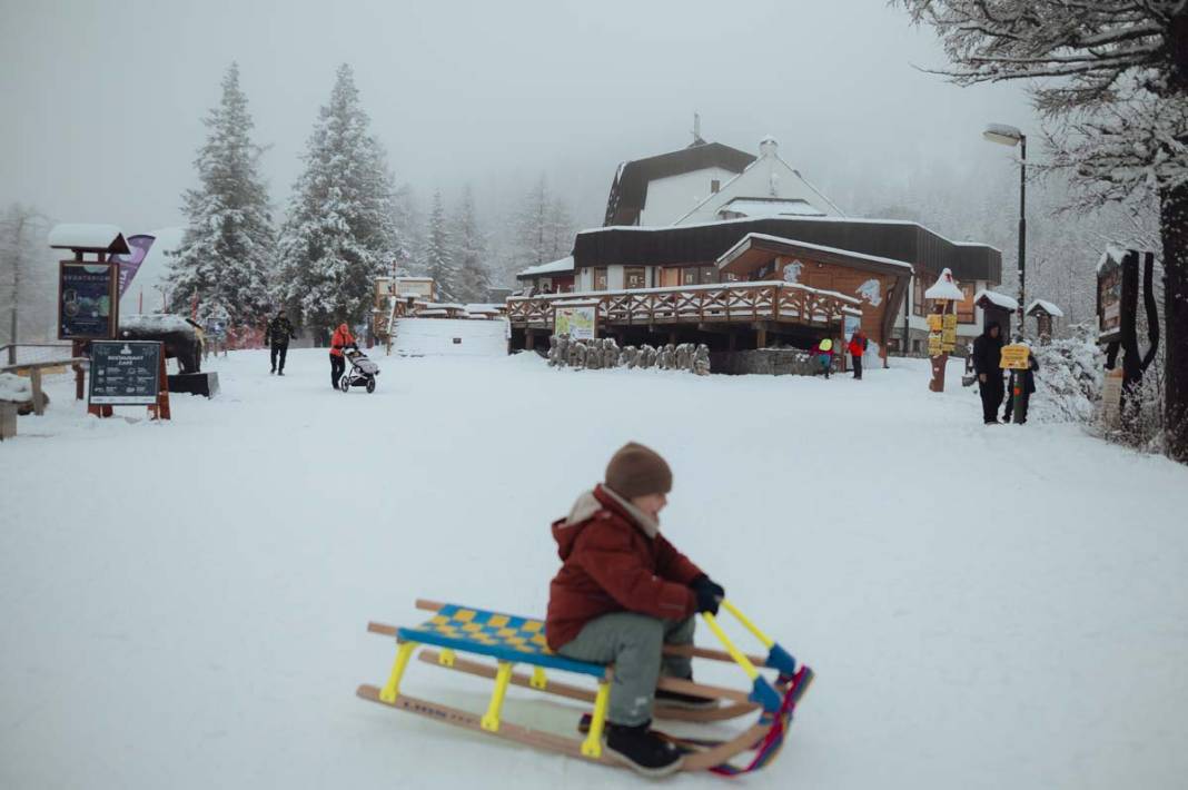 Slovakya'daki buz heykelleri ziyaretçileri büyüledi 10