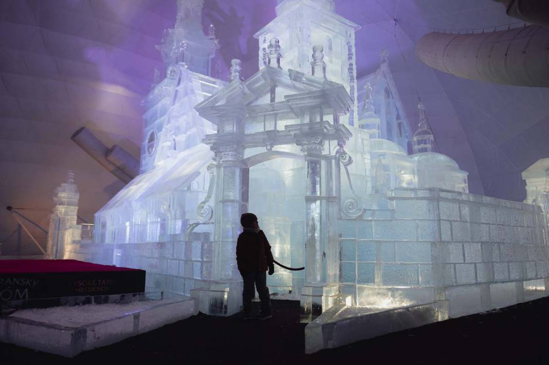 Slovakya'daki buz heykelleri ziyaretçileri büyüledi 7