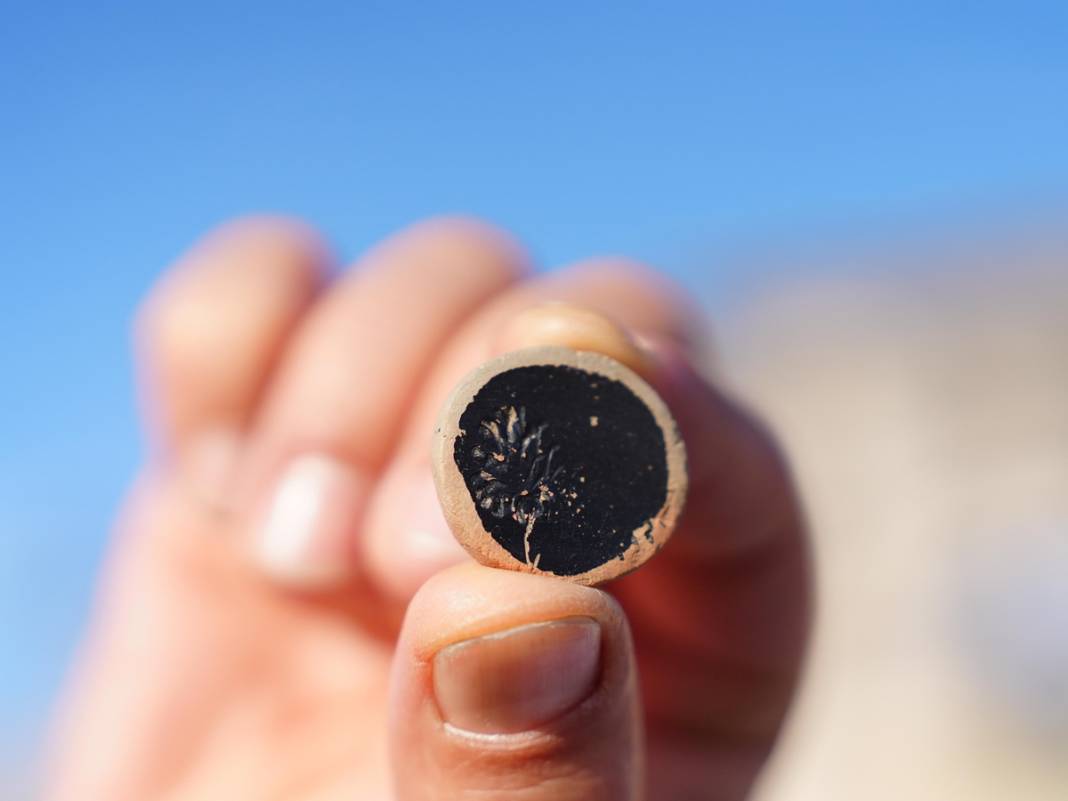 Konuralp'taki kazılarda 2 bin yıllık tiyatro bileti 9