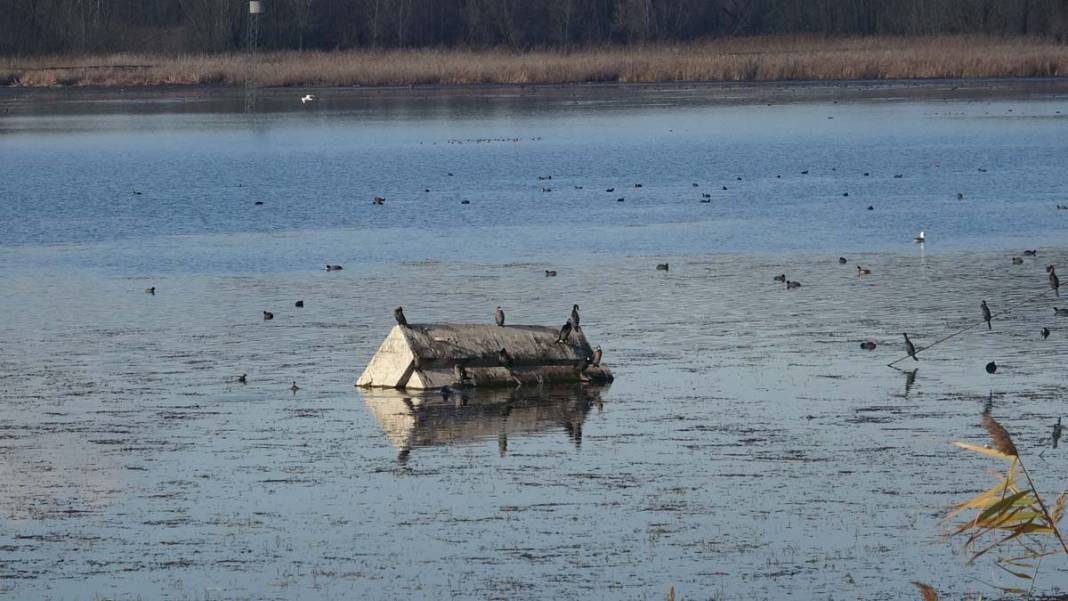 Sapanca Gölü'nde 5 yılın en düşük su seviyesi: Son yağışlar da doluluk oranını etkilemedi 3