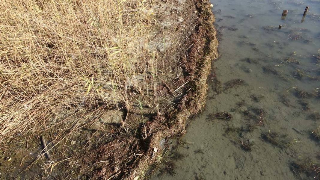 Sapanca Gölü'nde 5 yılın en düşük su seviyesi: Son yağışlar da doluluk oranını etkilemedi 2