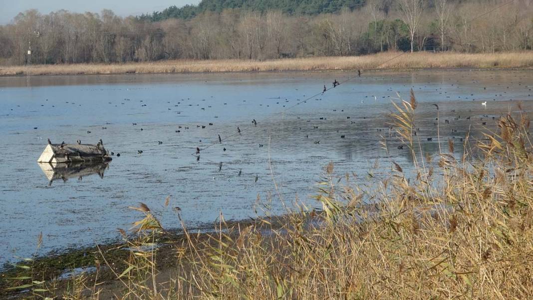Sapanca Gölü'nde 5 yılın en düşük su seviyesi: Son yağışlar da doluluk oranını etkilemedi 1