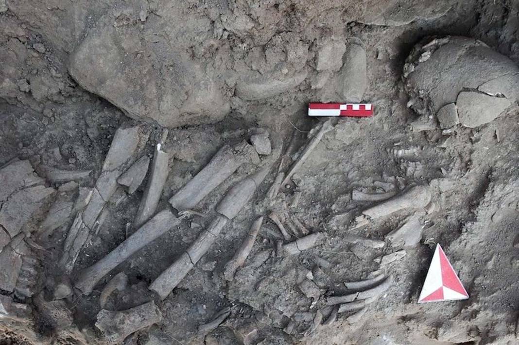 2024’te tarihe ışık tutan önemli arkeolojik eserler 2