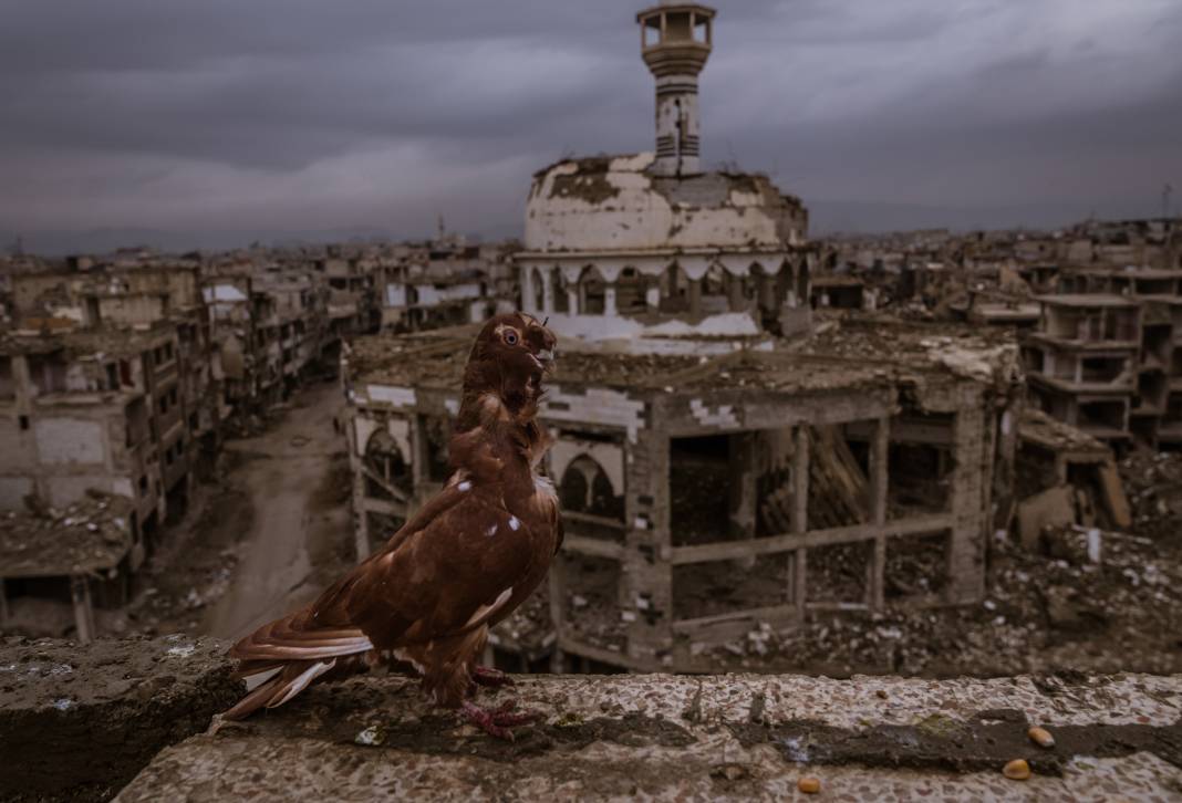 Esad rejiminin kuşatmasıyla yıkılan Yermuk Kampı hala ilk günkü gibi 7