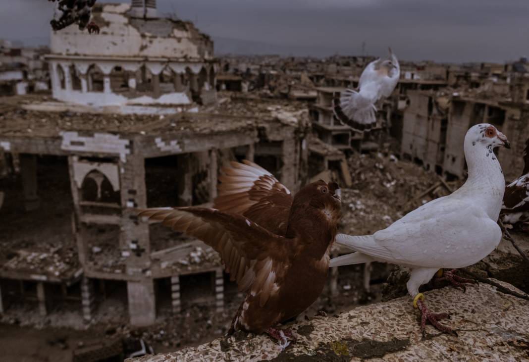 Esad rejiminin kuşatmasıyla yıkılan Yermuk Kampı hala ilk günkü gibi 6