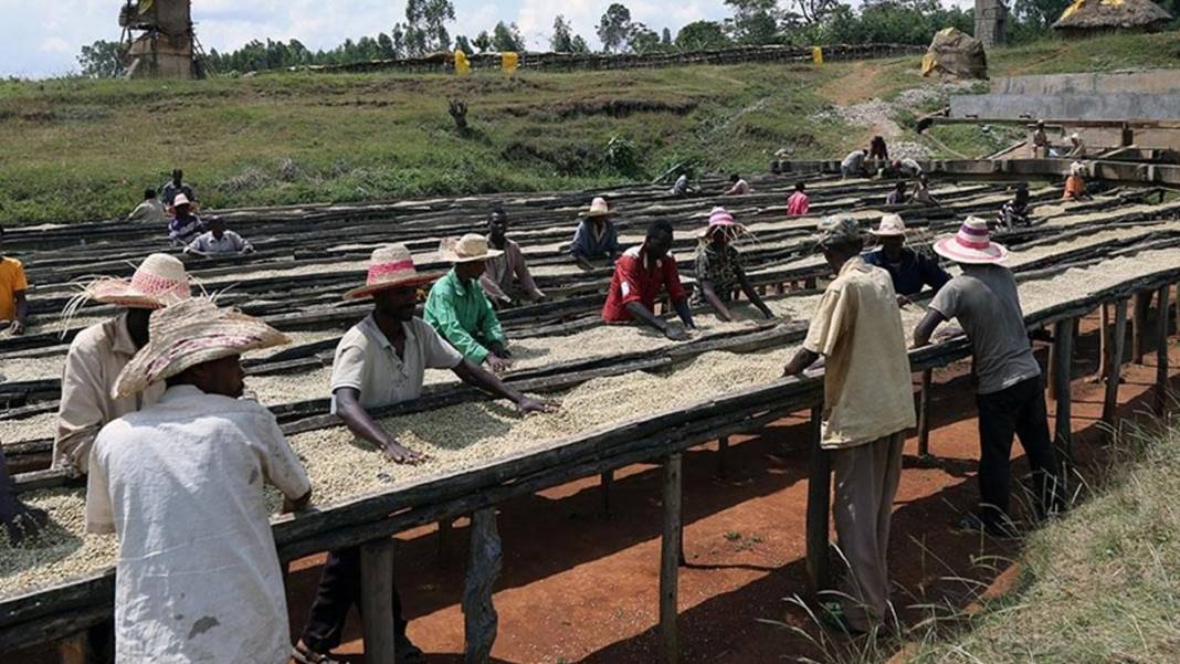 Otuz yıl içinde mevcut 50 milyona milyonlarcası katılacak: Kölelik modernleşerek geri dönüyor 6