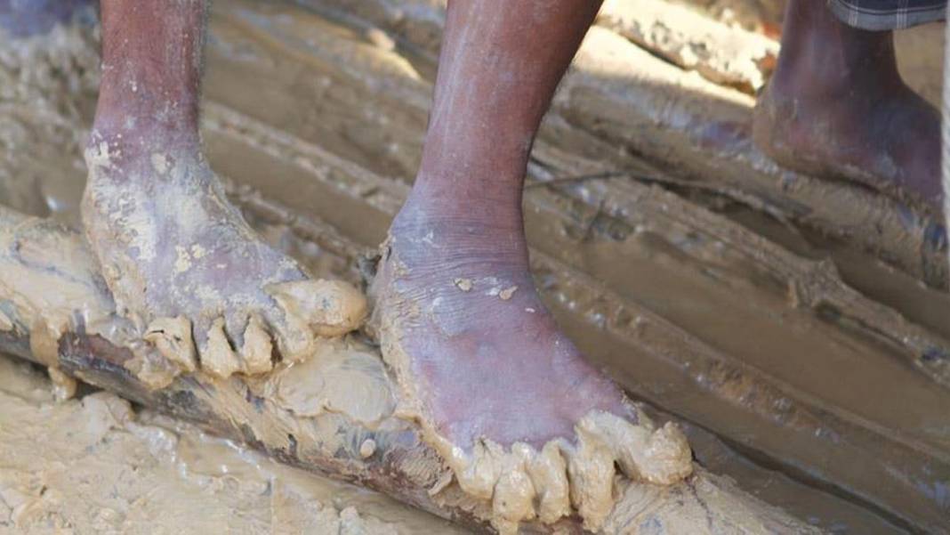 Otuz yıl içinde mevcut 50 milyona milyonlarcası katılacak: Kölelik modernleşerek geri dönüyor 8