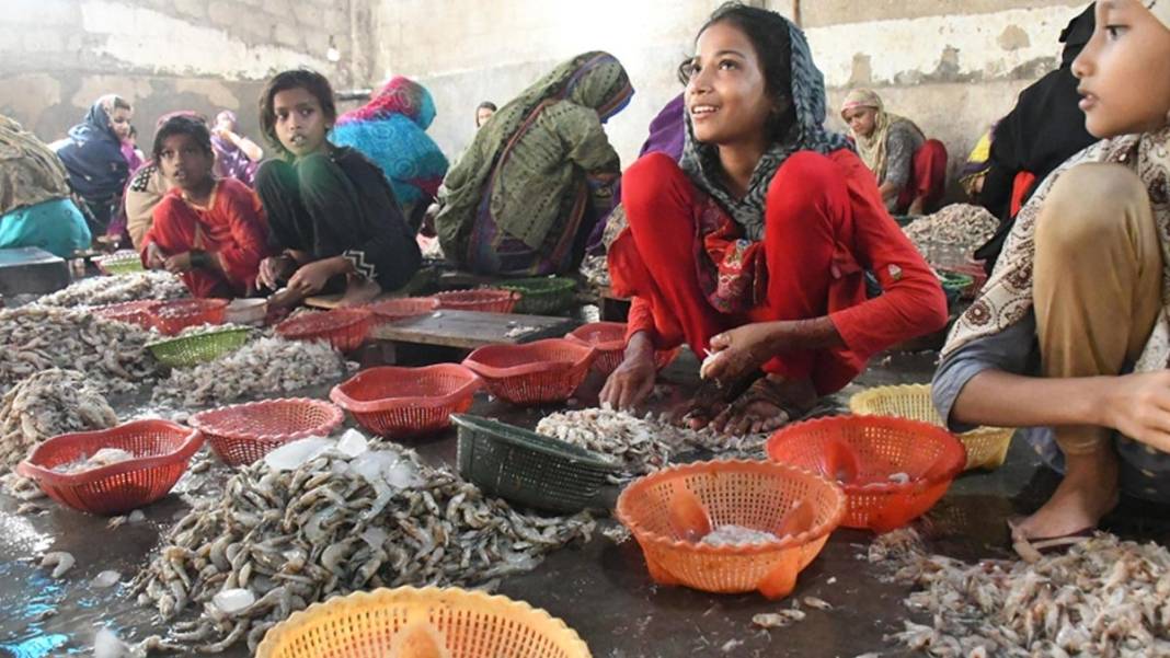 Otuz yıl içinde mevcut 50 milyona milyonlarcası katılacak: Kölelik modernleşerek geri dönüyor 1