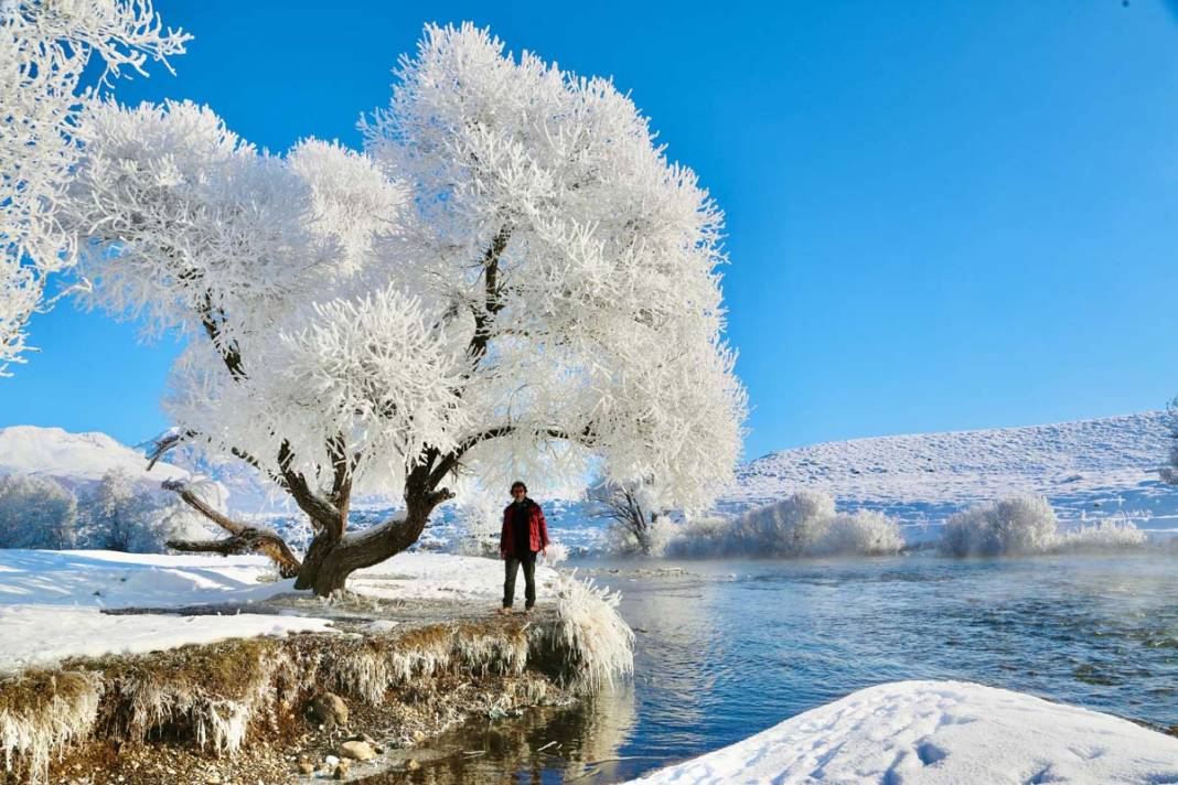 Ovacık'ta büyüleyici kış manzarası 1