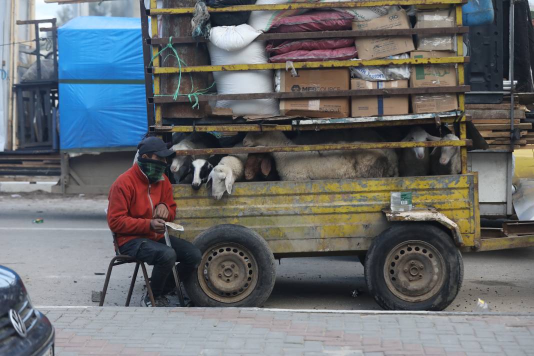 Gazzeliler kuzeye dönmek için bekliyor 23