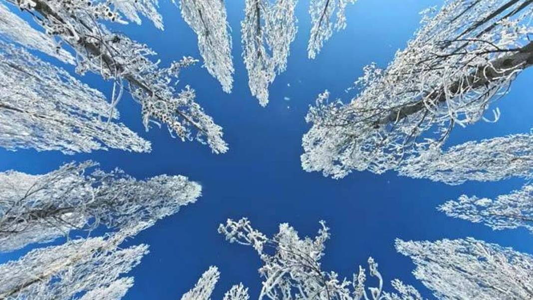 Ovacık'ta büyüleyici kış manzarası 8