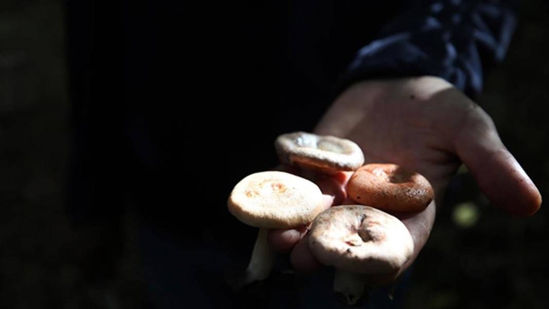 Bakanlık gıda tüketimiyle ilgili merak edilenleri yanıtladı: Yumurta yıkanır mı, balıkla yoğurt yenir mi? 9