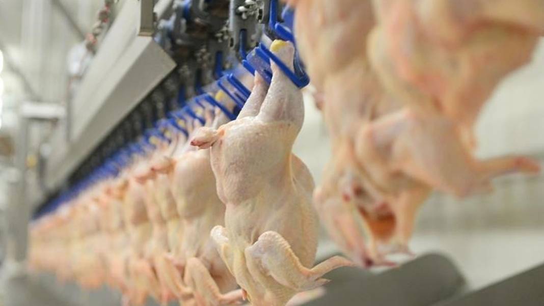 Bakanlık gıda tüketimiyle ilgili merak edilenleri yanıtladı: Yumurta yıkanır mı, balıkla yoğurt yenir mi? 10