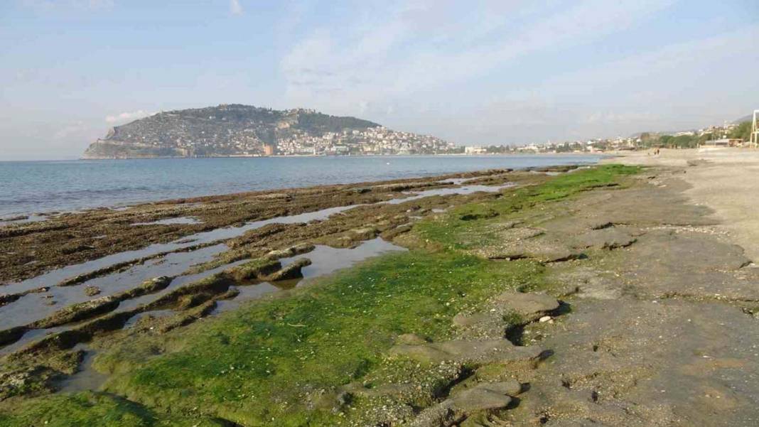 Alanya sahillerinde şaşırtan manzara: Deniz metrelerce çekildi 6