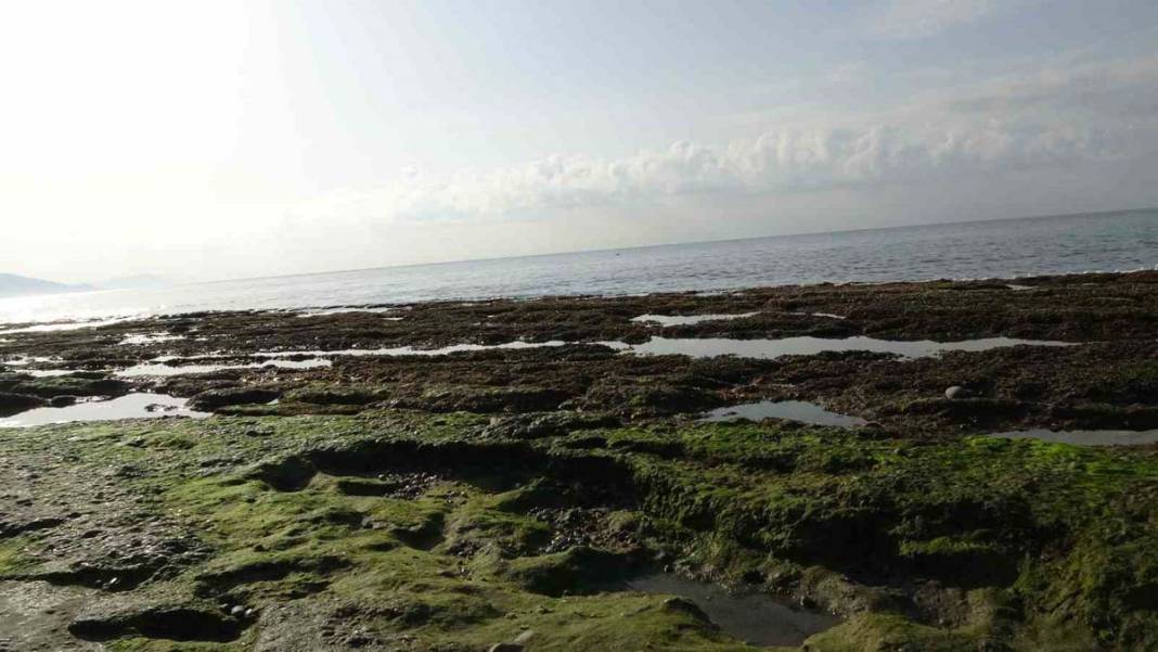 Alanya sahillerinde şaşırtan manzara: Deniz metrelerce çekildi 2