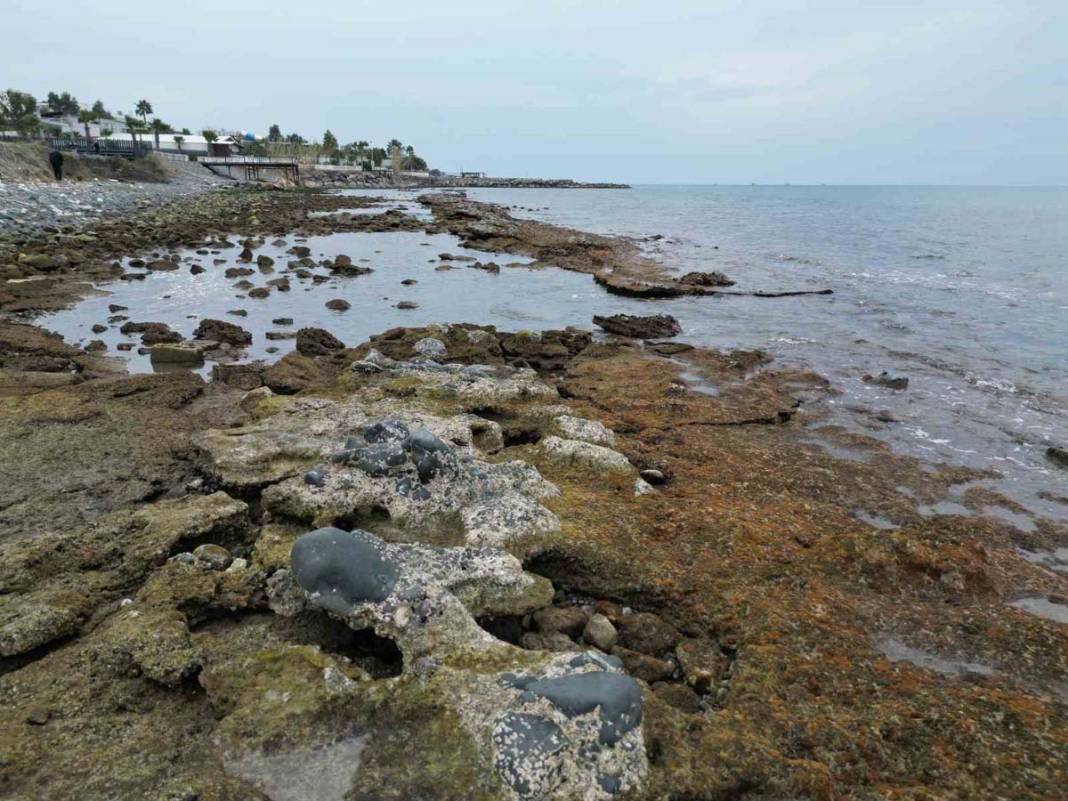 İstanbul ve İzmir'den sonra Hatay'da da deniz 20 metreye kadar çekildi 5