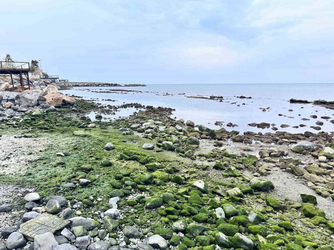 İstanbul ve İzmir'den sonra Hatay'da da deniz 20 metreye kadar çekildi 2