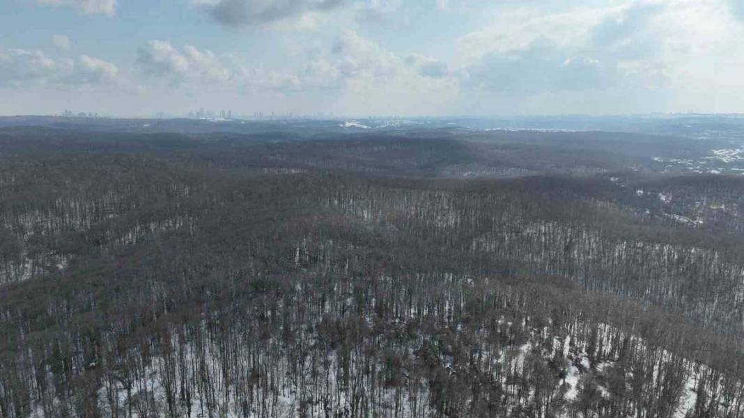 İstanbul’da kar yağışı: Belgrad Ormanı beyaza büründü 8