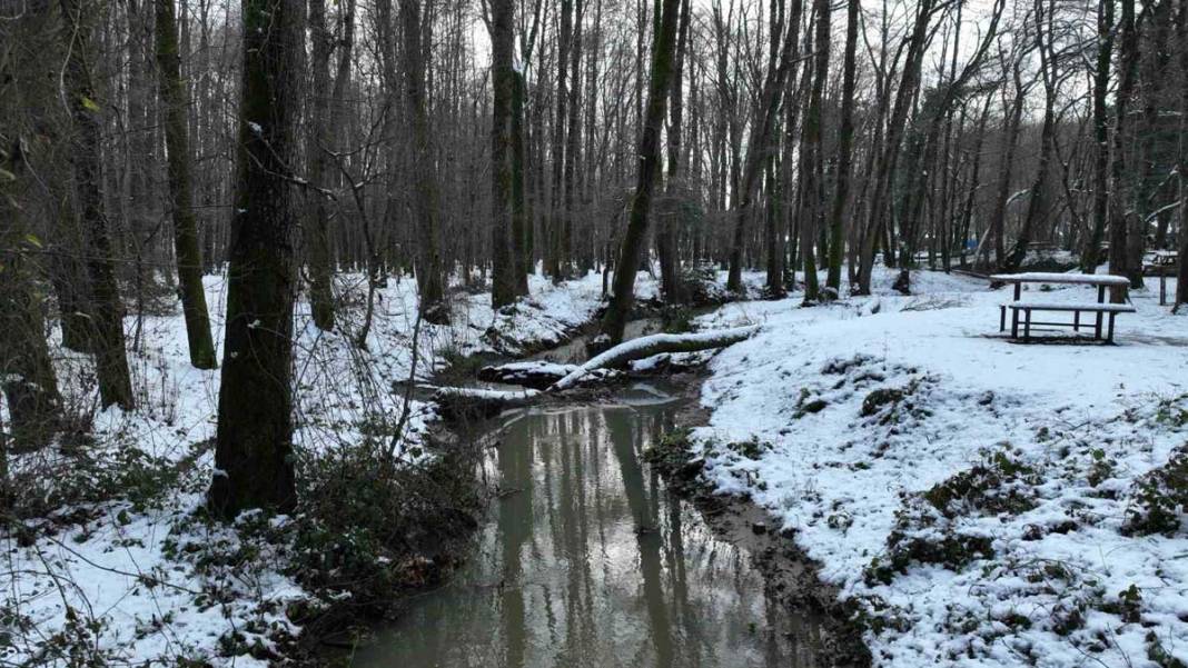 İstanbul’da kar yağışı: Belgrad Ormanı beyaza büründü 7