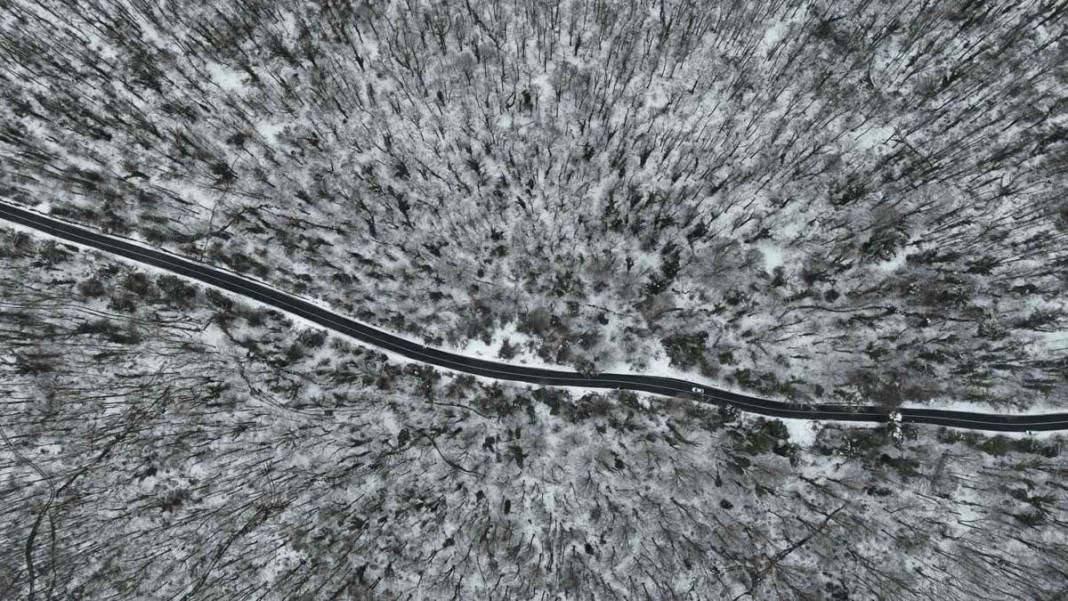 İstanbul’da kar yağışı: Belgrad Ormanı beyaza büründü 5