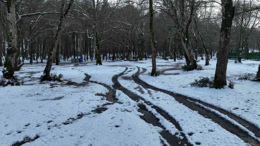 İstanbul’da kar yağışı: Belgrad Ormanı beyaza büründü 4
