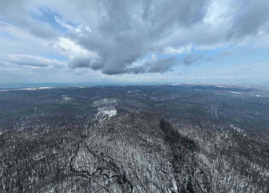 İstanbul’da kar yağışı: Belgrad Ormanı beyaza büründü 3