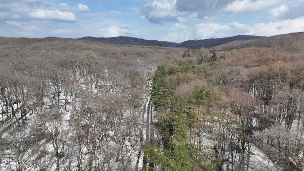 İstanbul’da kar yağışı: Belgrad Ormanı beyaza büründü 2