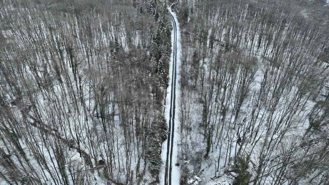 İstanbul’da kar yağışı: Belgrad Ormanı beyaza büründü 1
