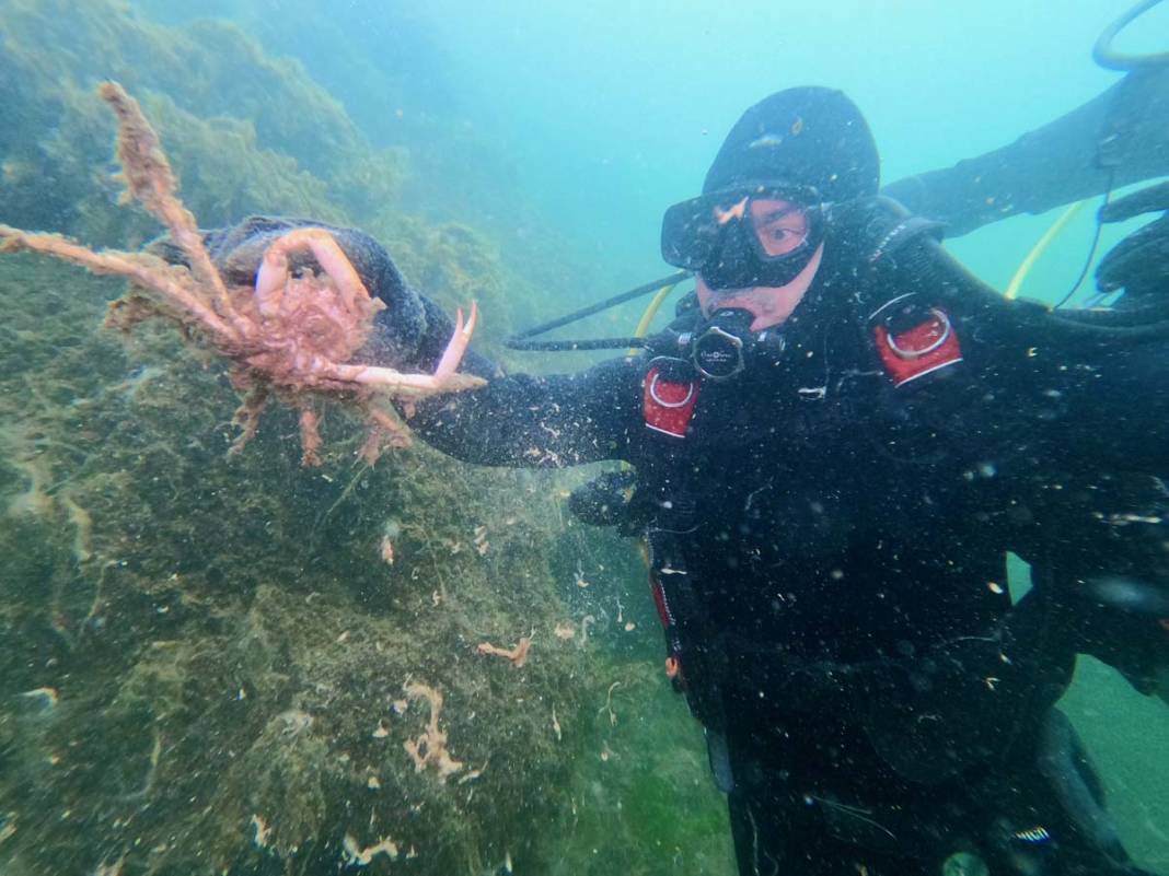 Marmara'da tehdidin boyutunu dalgıçlar görüntüledi: 18 metreden sonra yoğun bir müsilaj bulutu var 5