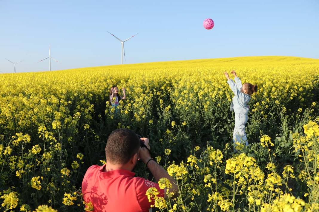 Tekirdağ'da kanola tarlaları fotoğraf tutkunlarını ağırlıyor 6