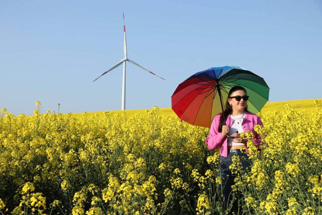 Tekirdağ'da kanola tarlaları fotoğraf tutkunlarını ağırlıyor 4