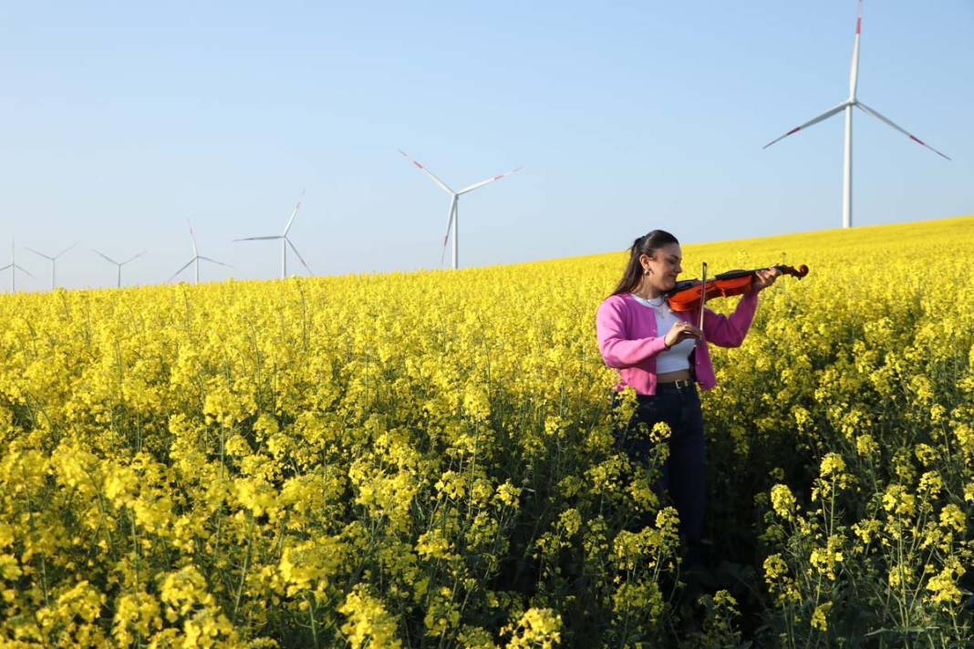 Tekirdağ'da kanola tarlaları fotoğraf tutkunlarını ağırlıyor 1