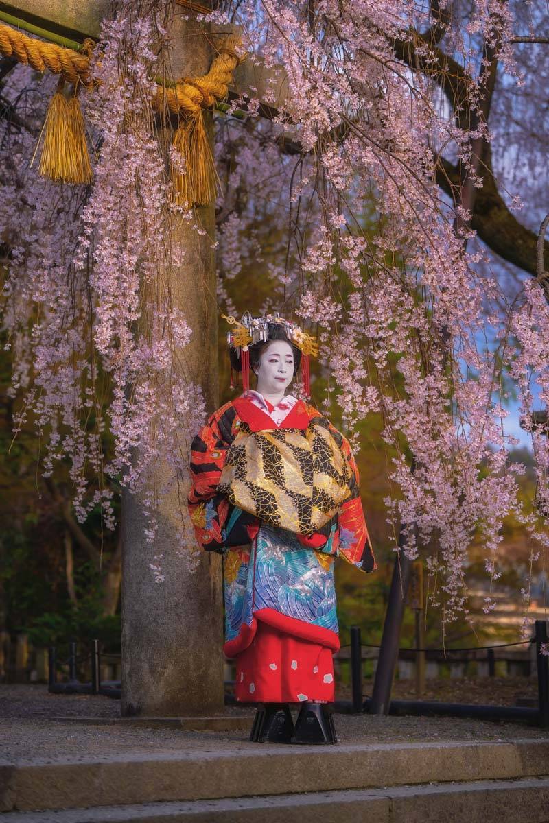 Japonya’da sakuralar parkları renklendirdi 3