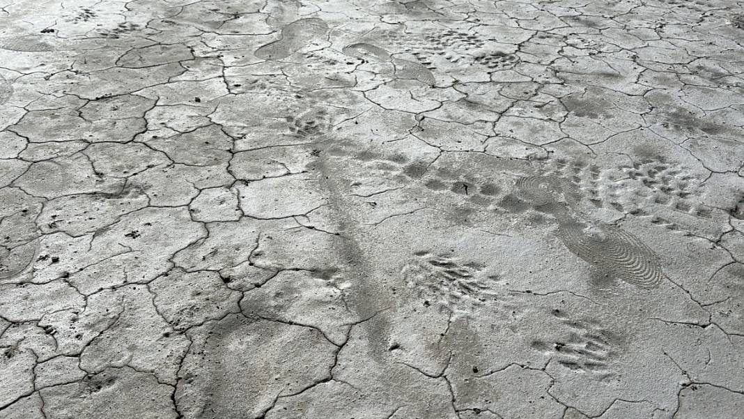 Binlerce kuş türüne ev sahipliği yapıyordu... Tuz Gölü kurumaya başladı 4
