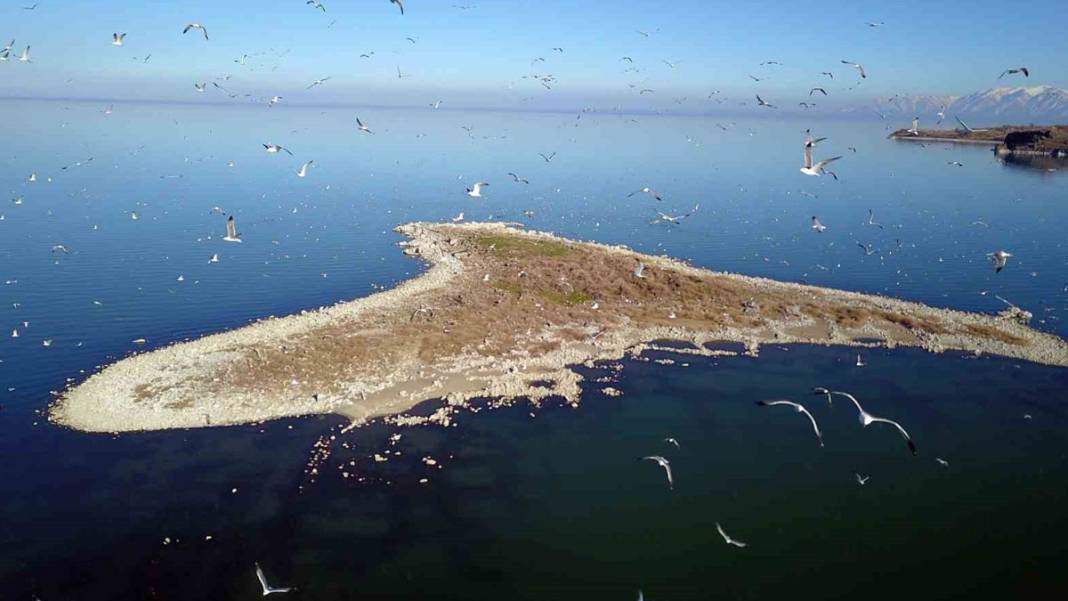 Van Gölü Havzası'nda kuraklık tehdidi: Kuruyan göllerin altından çıkanlar şaşırttı 8