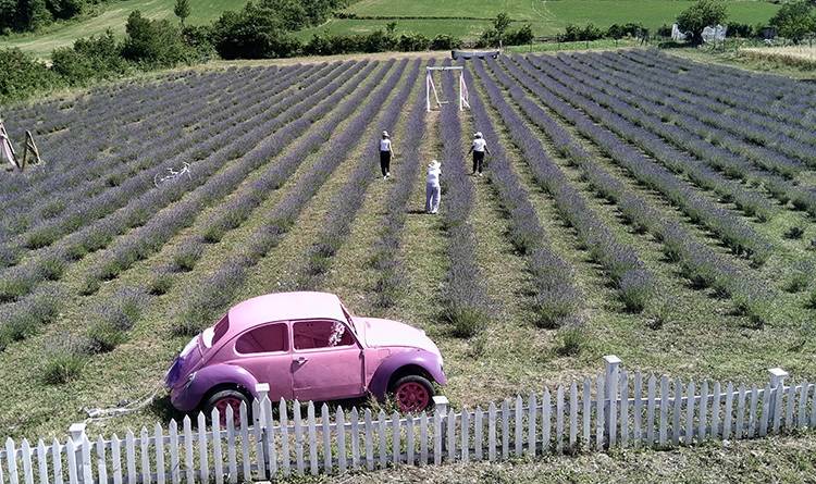 60 dönüm arazide üretim yapıyorlar! Kadınların emeği karşılığını alıyor: Hasattan ayrı ziyaretçilerden ayrı para kazanıyorlar 2