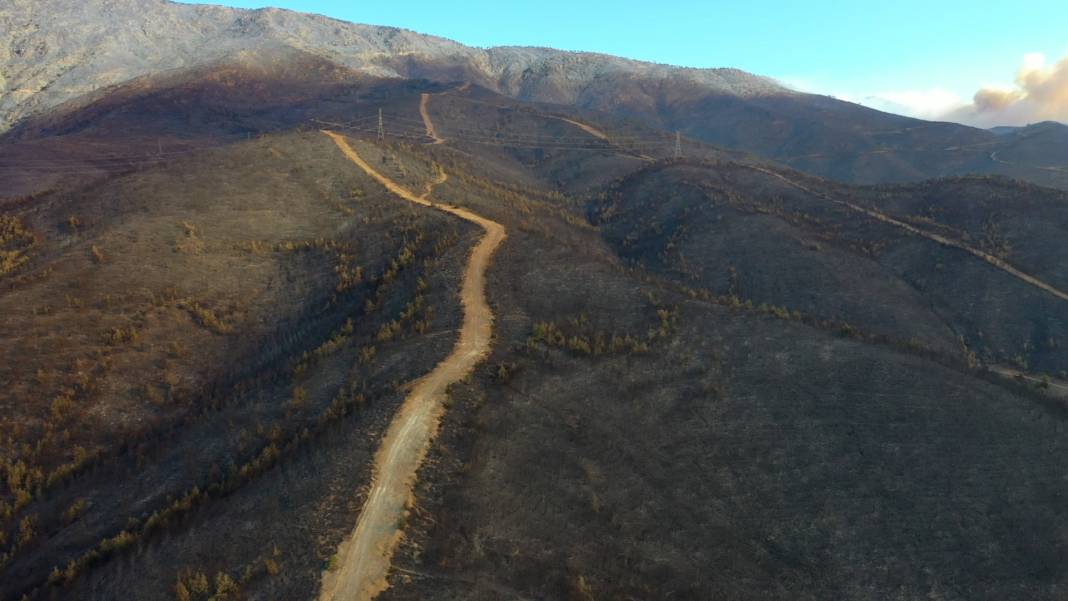 Hatay alevlere teslim: Bin 800 kişi tahliye edildi, yangın bölgesi havadan görüntülendi 4