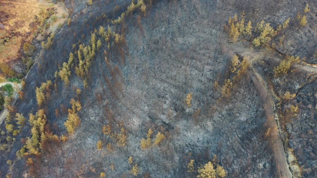 Hatay alevlere teslim: Bin 800 kişi tahliye edildi, yangın bölgesi havadan görüntülendi 3