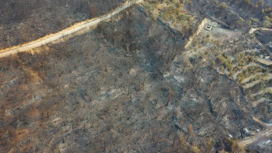 Hatay alevlere teslim: Bin 800 kişi tahliye edildi, yangın bölgesi havadan görüntülendi 7