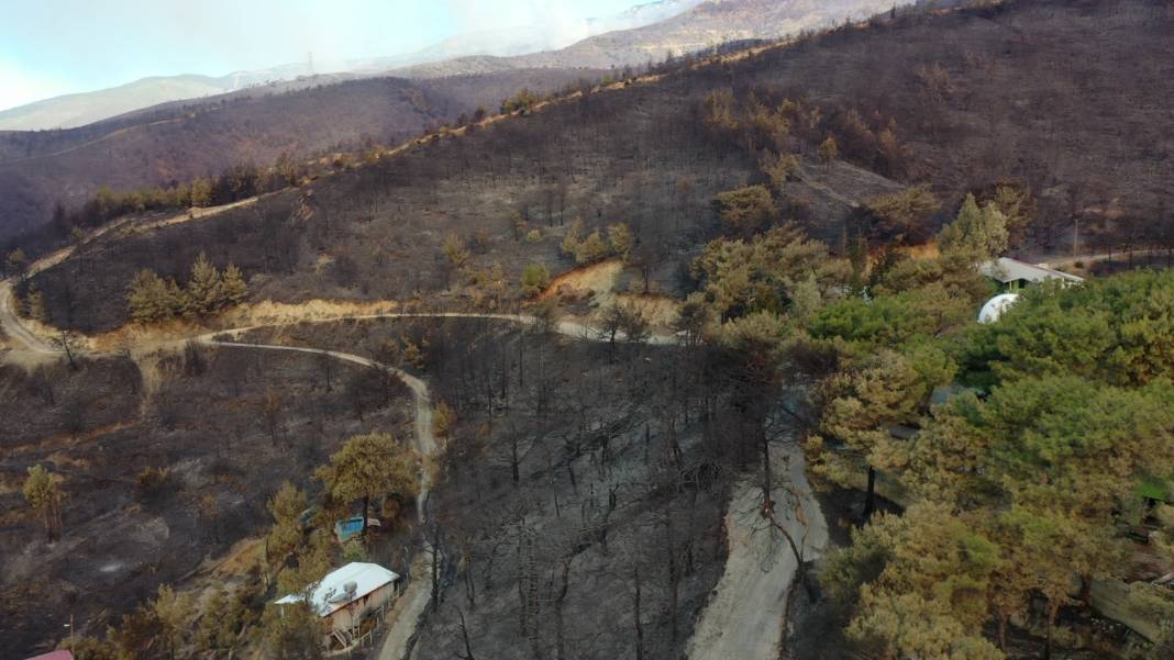 Hatay alevlere teslim: Bin 800 kişi tahliye edildi, yangın bölgesi havadan görüntülendi 8