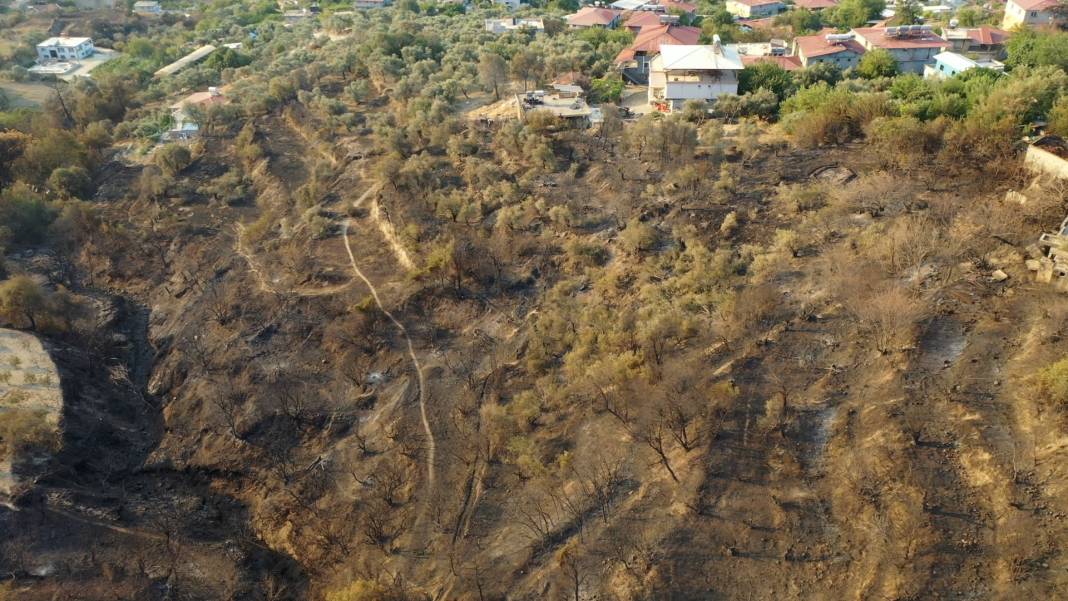 Hatay alevlere teslim: Bin 800 kişi tahliye edildi, yangın bölgesi havadan görüntülendi 6