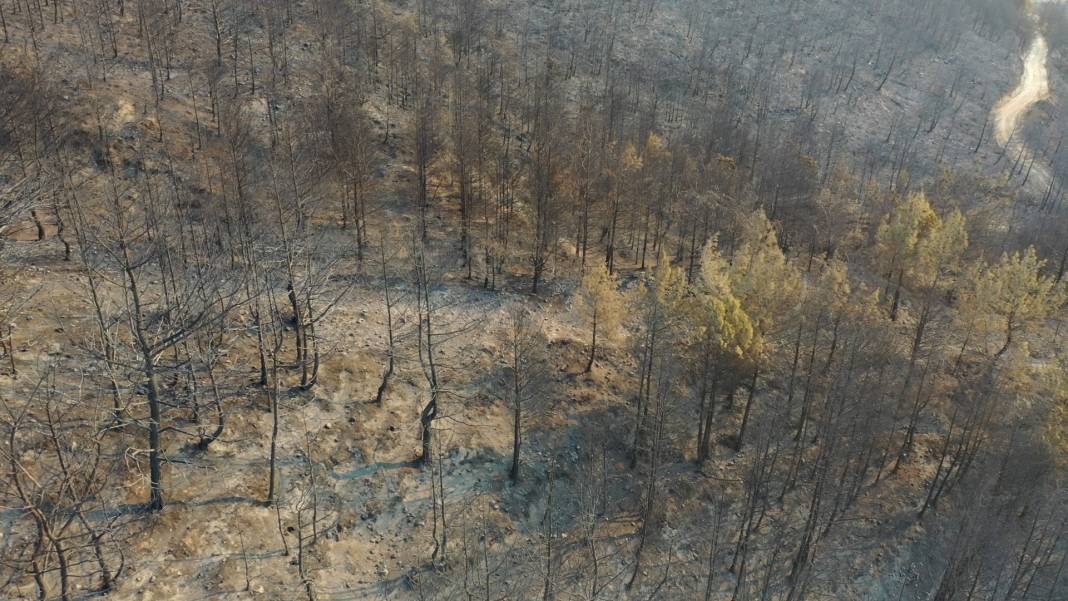 Hatay alevlere teslim: Bin 800 kişi tahliye edildi, yangın bölgesi havadan görüntülendi 9
