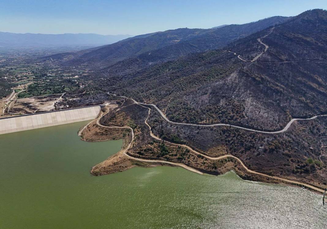 Ödemiş’te felaketin izleri: 3 günlük yangın geride kül bıraktı 16