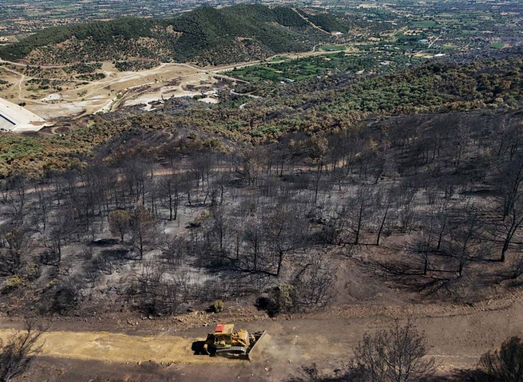 Ödemiş’te felaketin izleri: 3 günlük yangın geride kül bıraktı 13