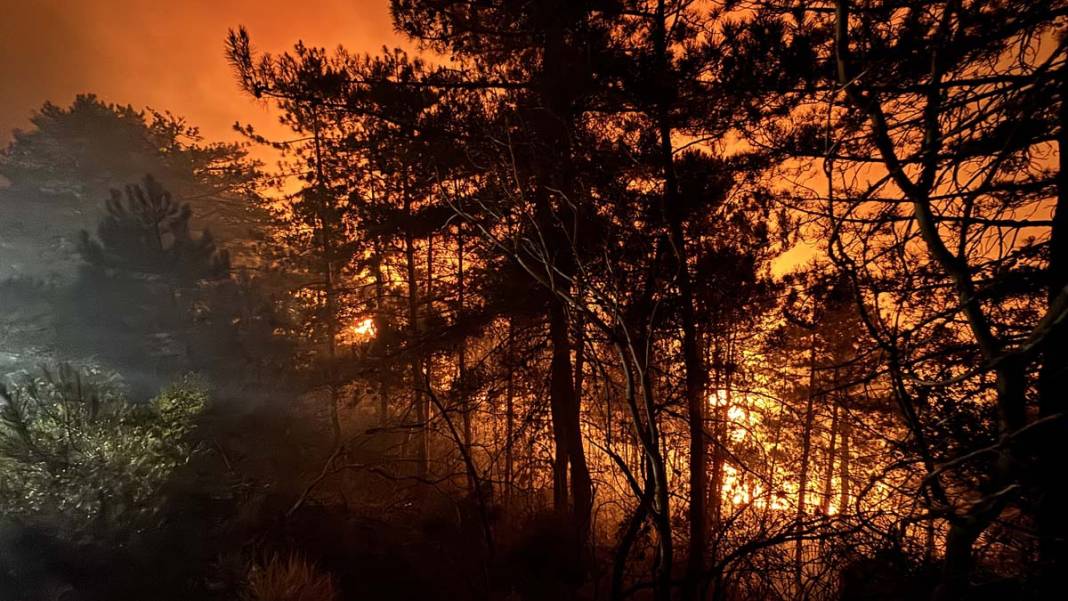 Sakarya’da yangın felaketi: Üç ev tamamen yok oldu 4