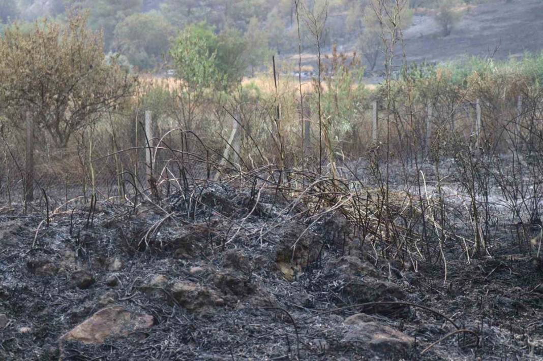 Sakarya’da yangın felaketi: Üç ev tamamen yok oldu 12