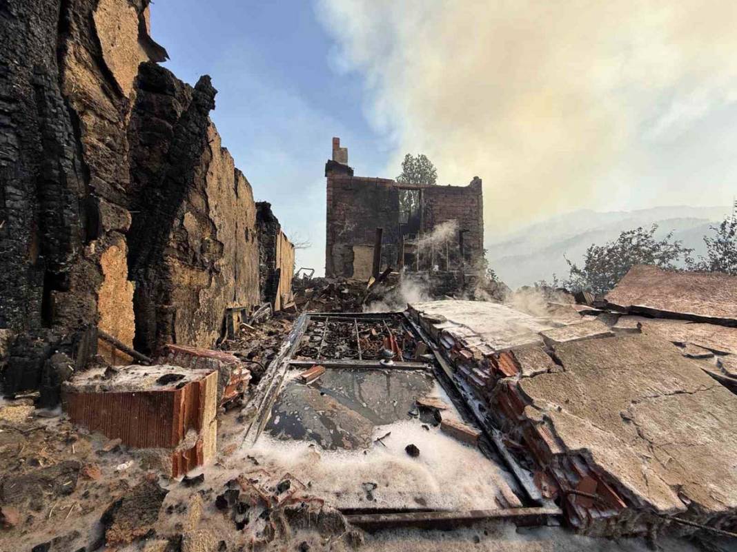 Sakarya’da yangın felaketi: Üç ev tamamen yok oldu 9