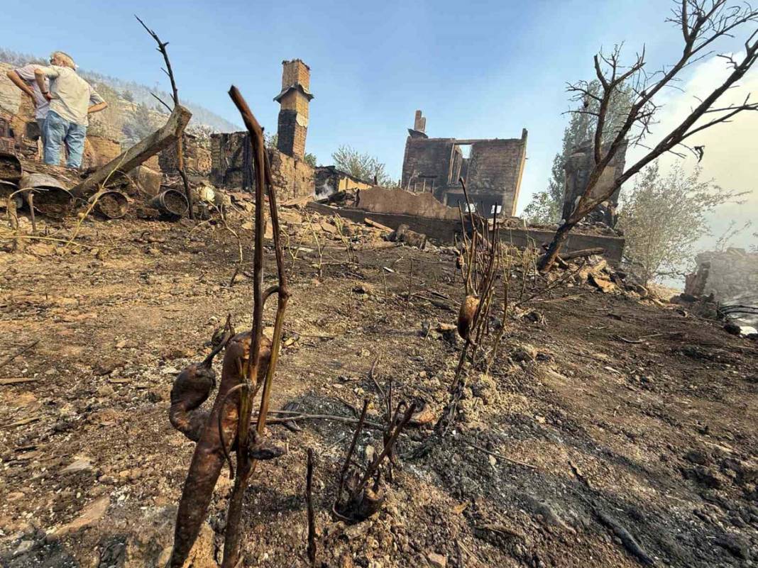 Sakarya’da yangın felaketi: Üç ev tamamen yok oldu 7