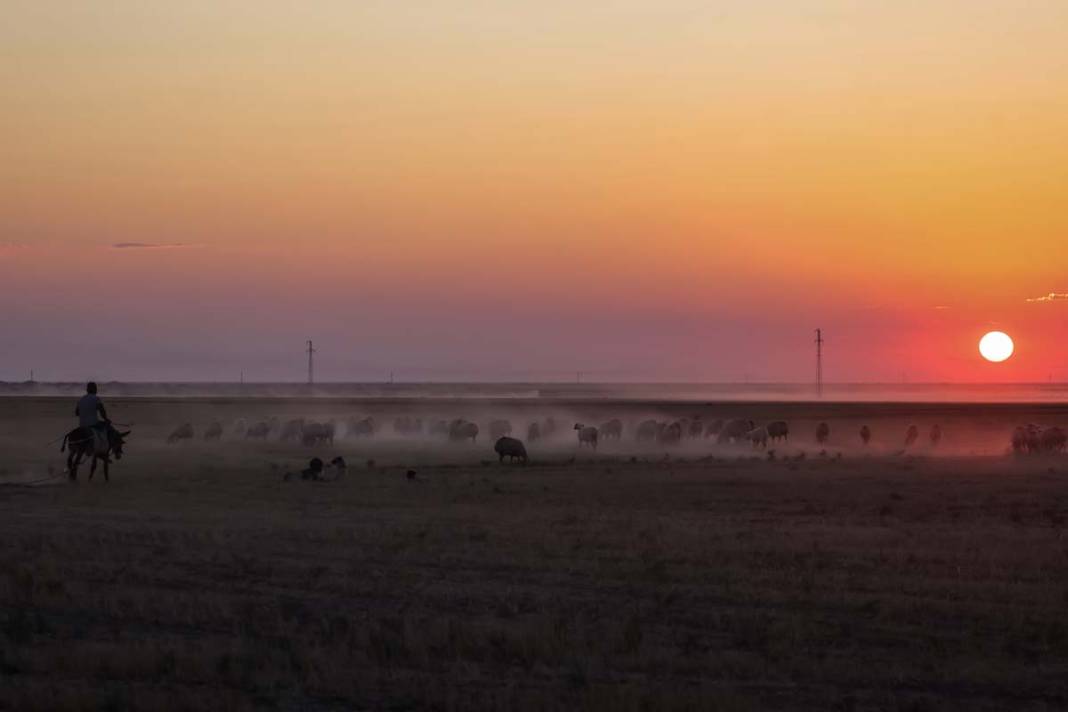 Tuz Gölü yazla birlikte renk değiştirdi 10